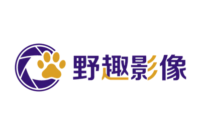 抖阴